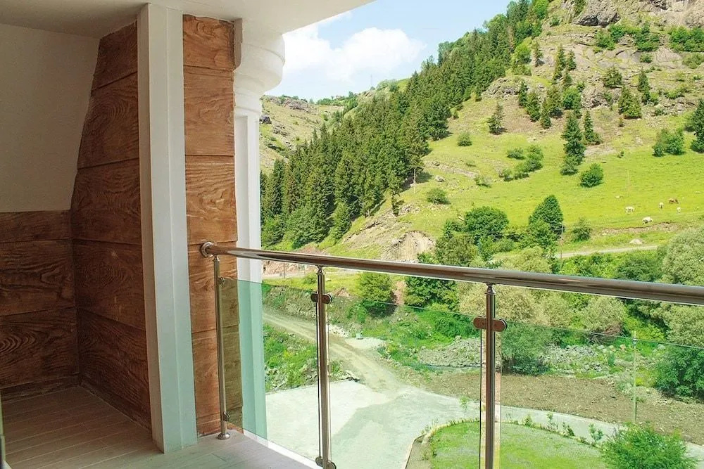 Green Valley Hotel Savsat - Général