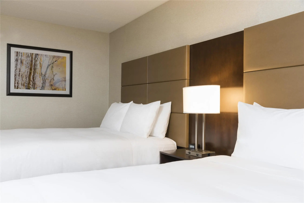 Doubletree by Hilton Pleasant Prairie Kenosha - Chambres