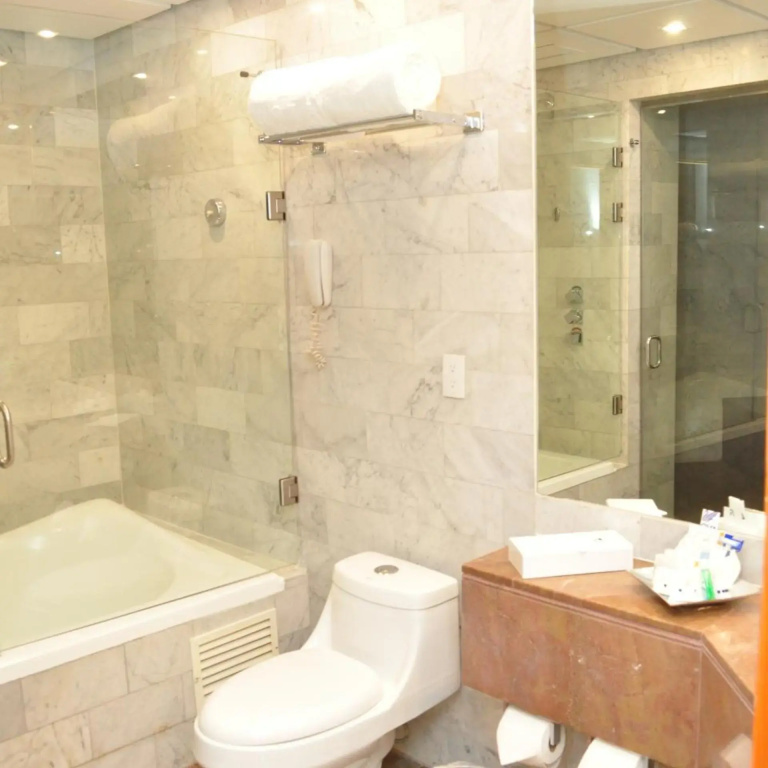 Royal Pedregal Hotel - Général