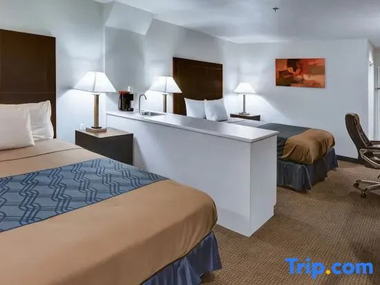 Quadruple Suite
