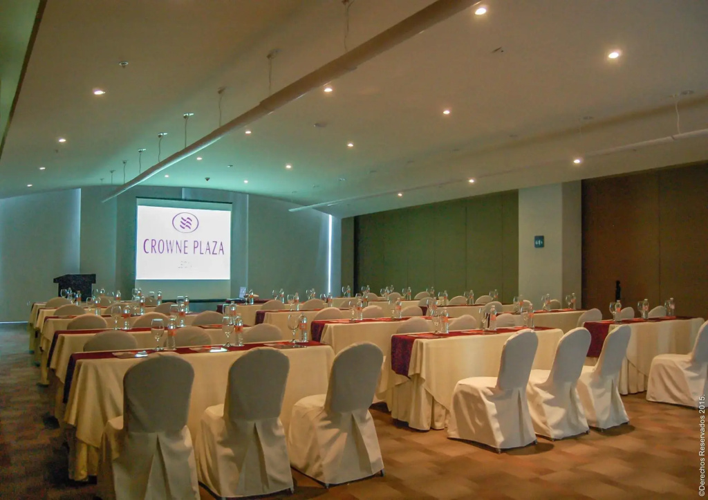 Crowne Plaza Leon by IHG - Général