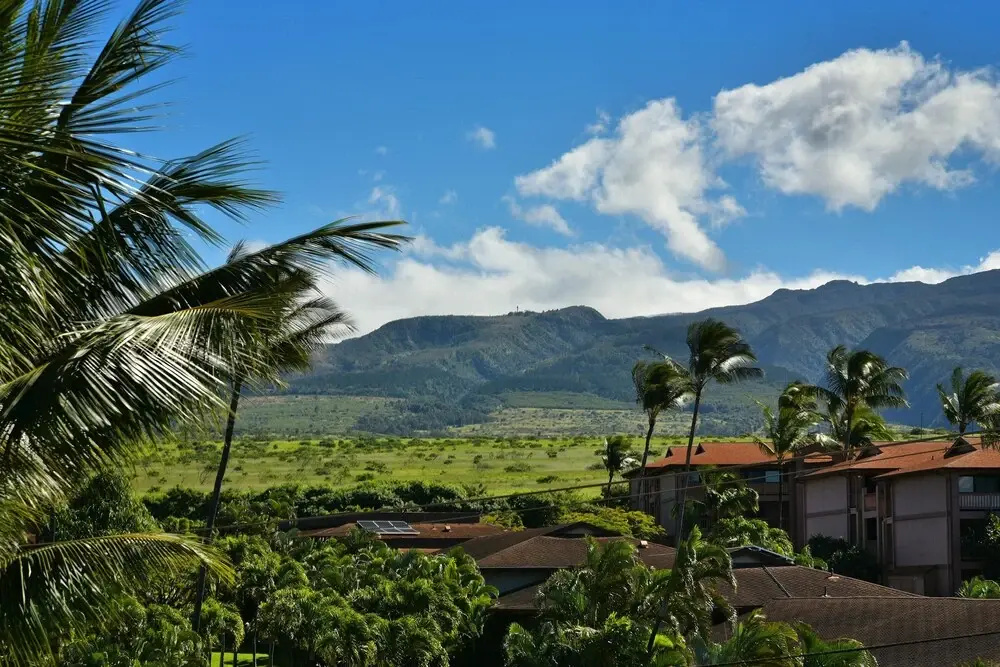Kaleialoha 403