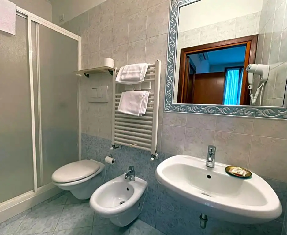 Superior Double room (twin beds)