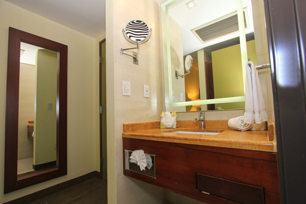 Holiday Inn Leon by IHG - Général
