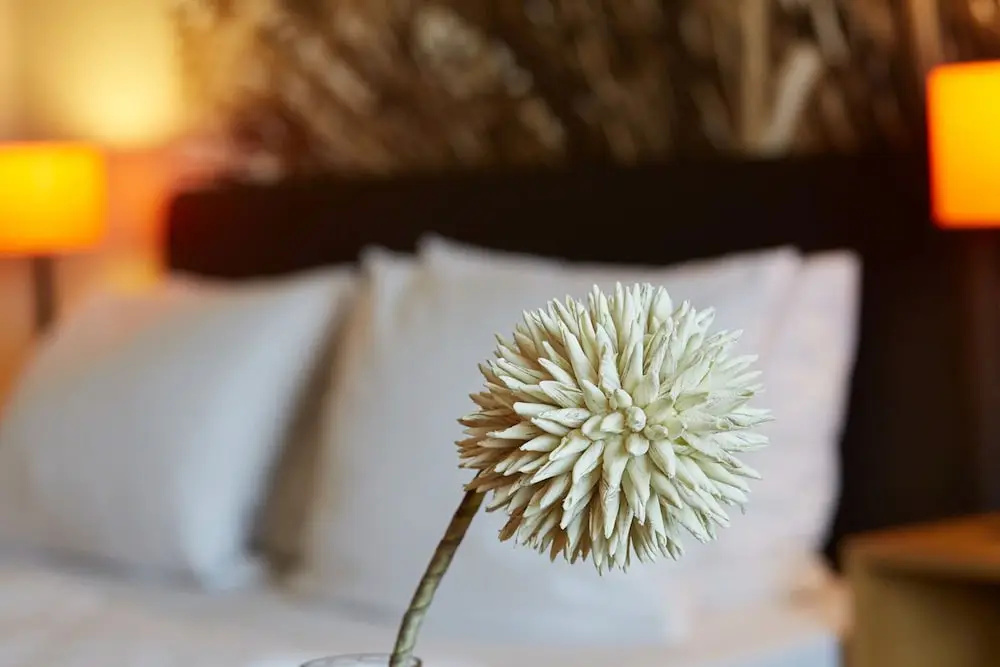 Schröder Hotel and Restaurant - Chambres