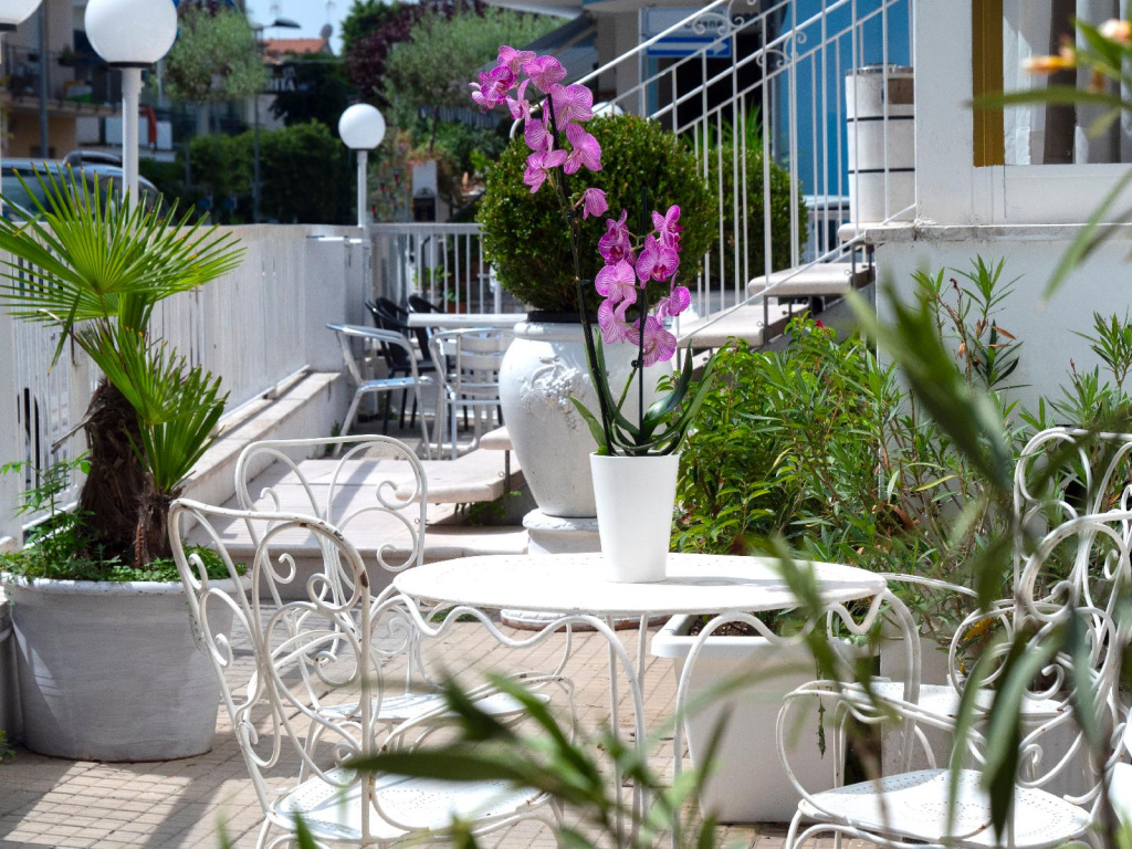 Hotel photo 11