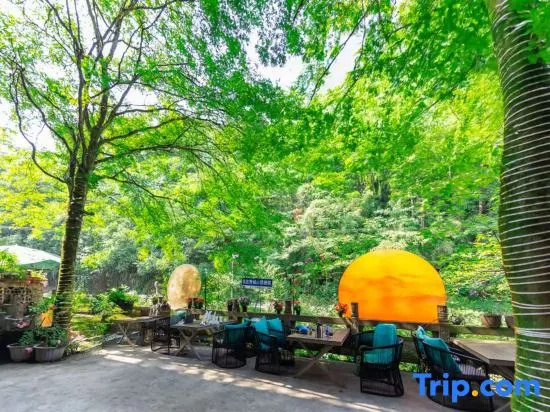 Qingcheng Houshan Taizhuang Private Tang Homestay in Chengdu