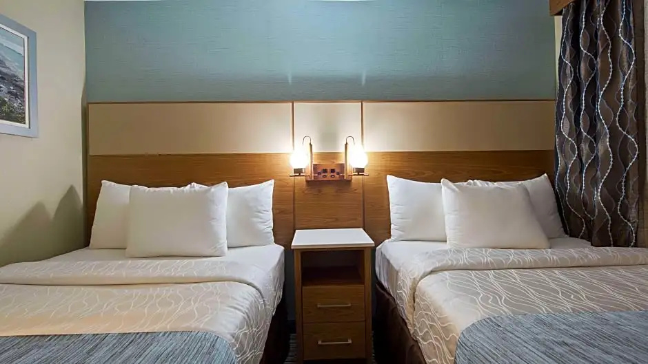 Double Suite (twin beds)
