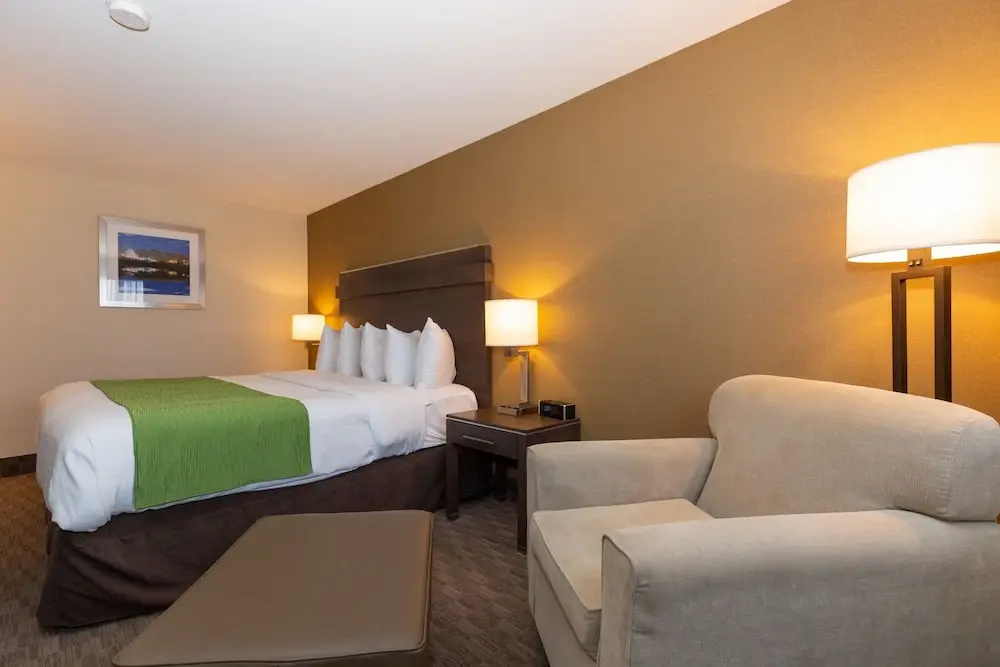 Quality Inn & Suites - фото 5