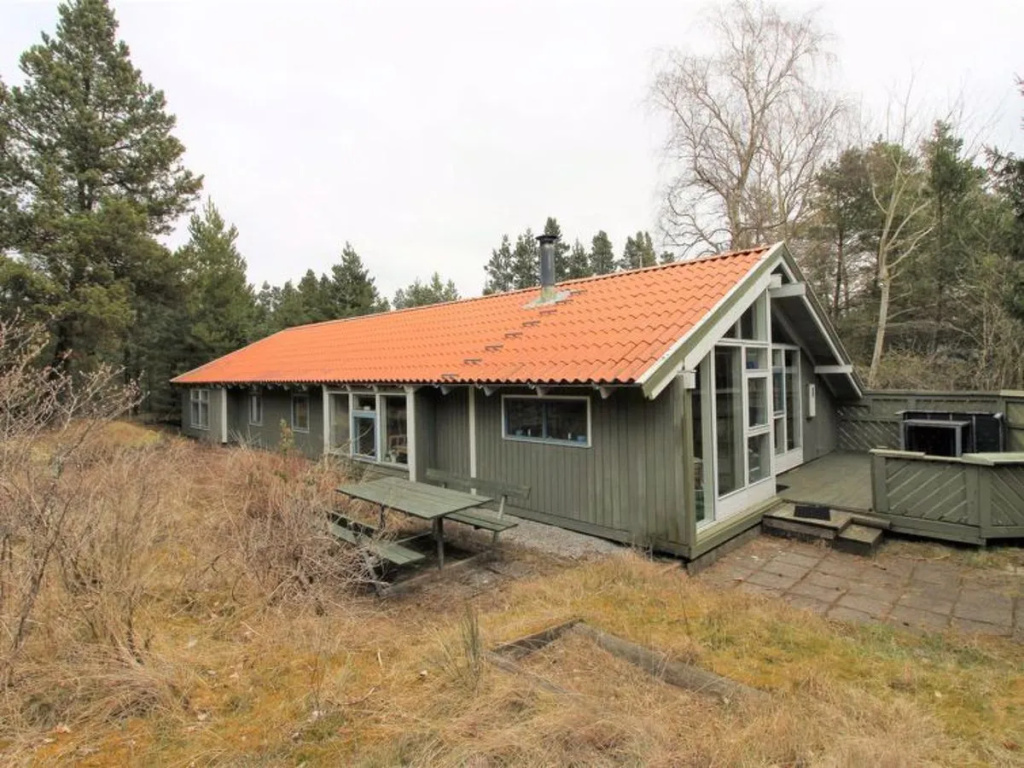 "Ahmik" - 8km from the sea in Western Jutland