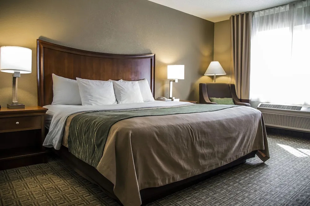 Comfort Inn — фото 4