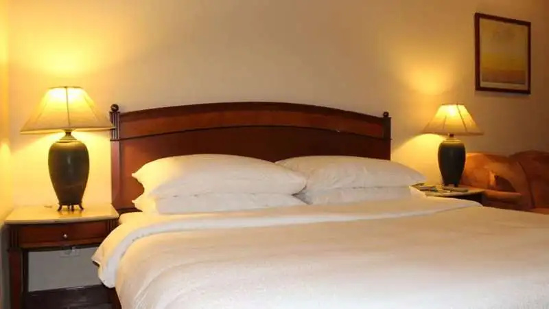The Hans Hotel New Delhi - Chambres