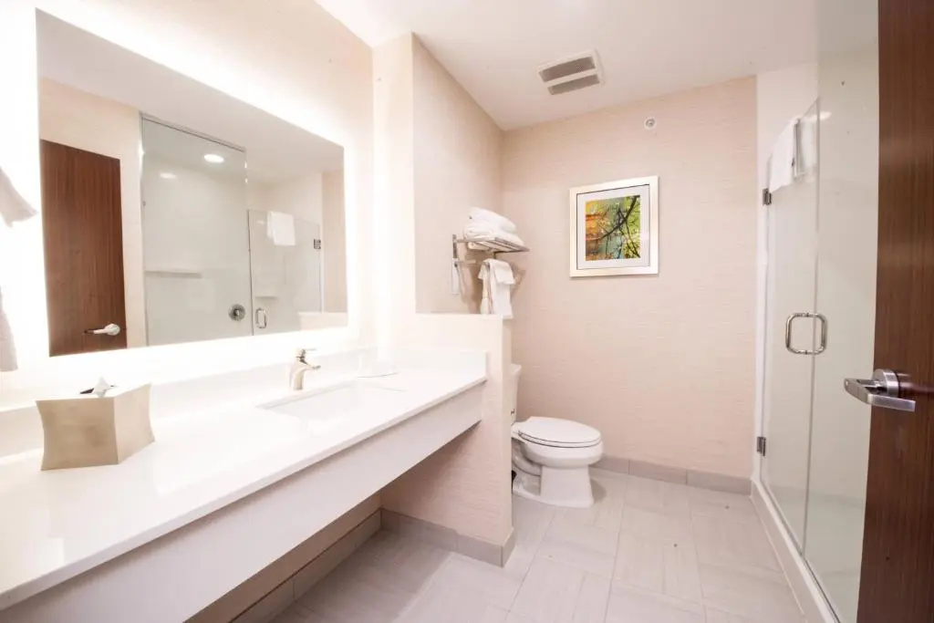 Fairfield Inn & Suites Dallas Plano North - Chambres