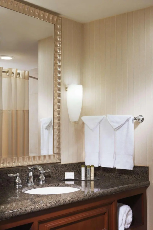 DoubleTree by Hilton Austin - Chambres