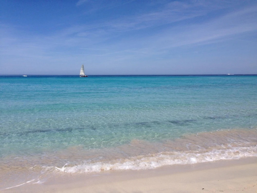 Afficher la photo 8 — Mor102 - Appartement vue mer - 100m de la Plage