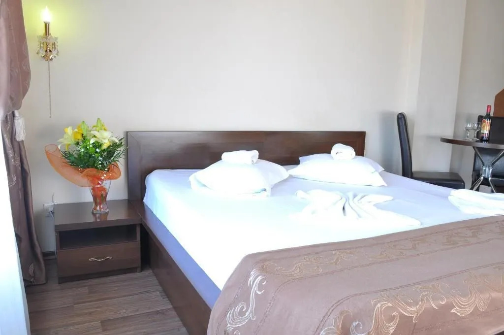 Ave Hotel Victoriei - Général