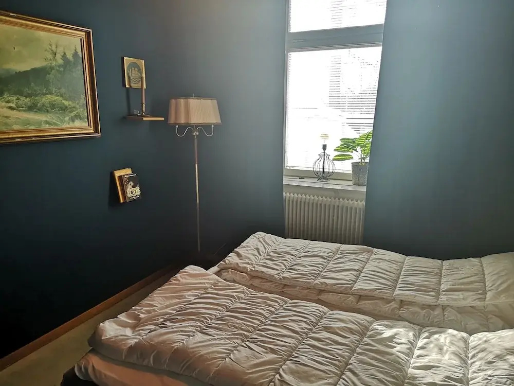 Standard Double room with park view (full double bed)