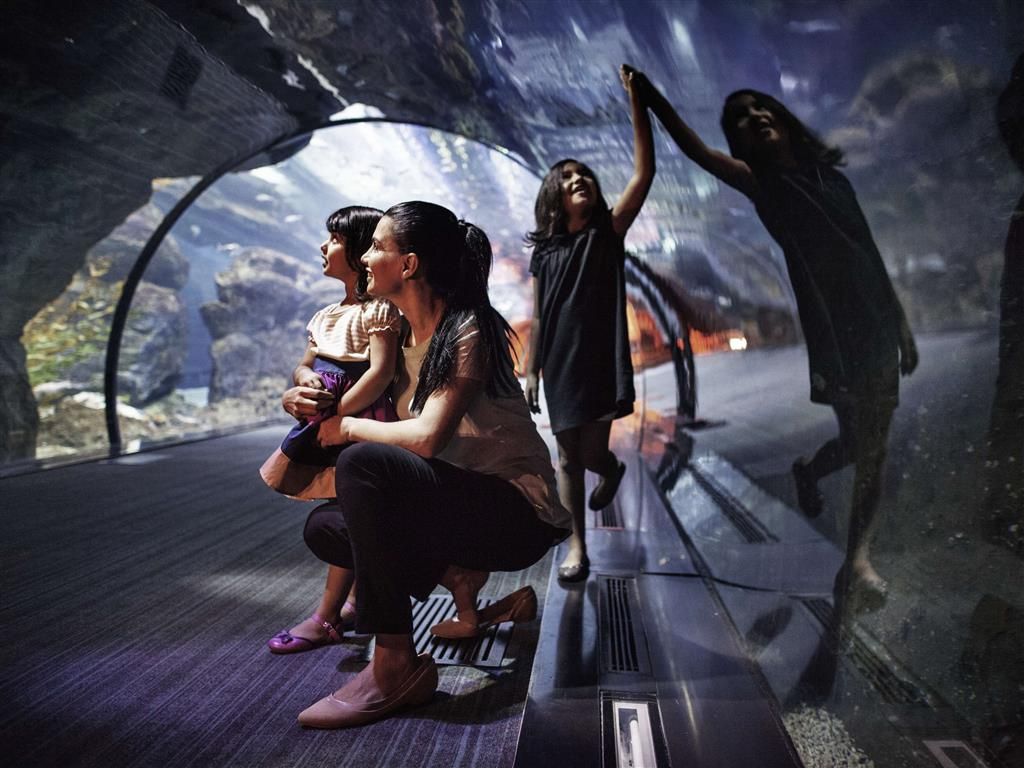 Adagio Premium Dubai Al Barsha - Général