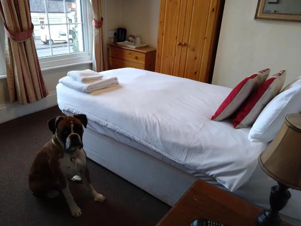 Hillmorton Manor Hotel - Chambres