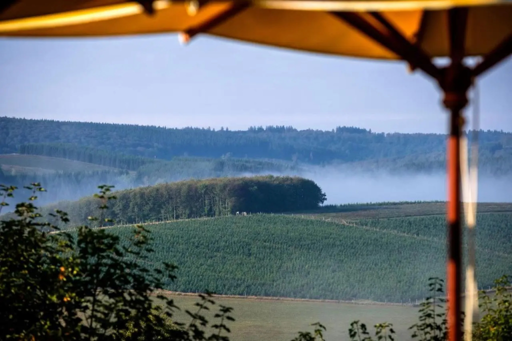 Hotel Waldhaus Ohlenbach