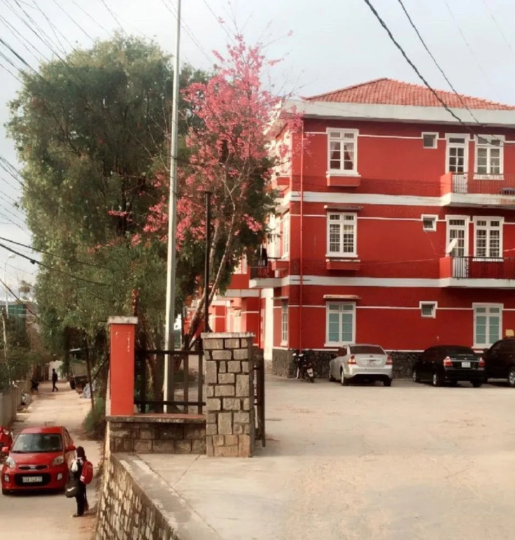 10 Nam tri ky