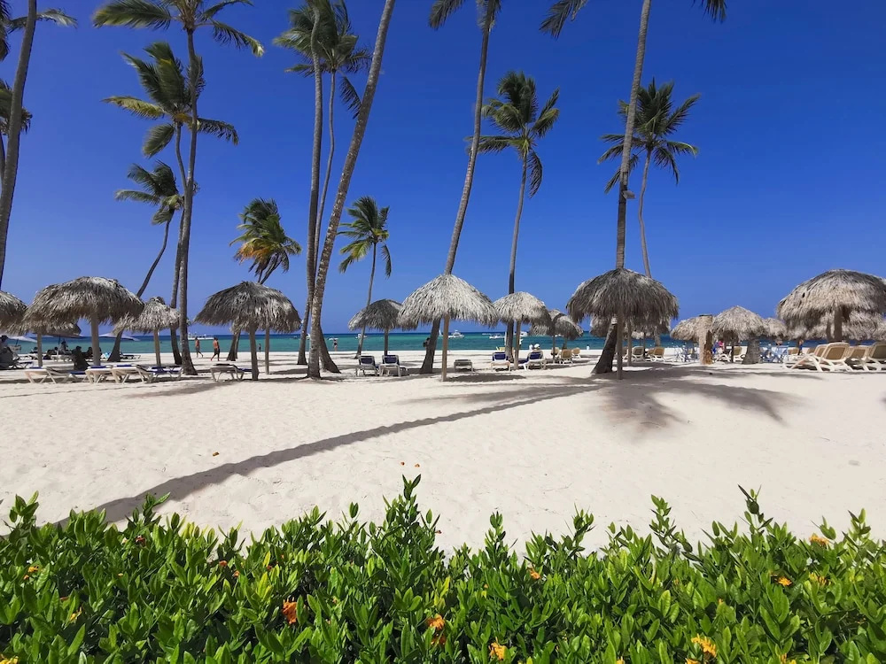 Beach & Waterfront