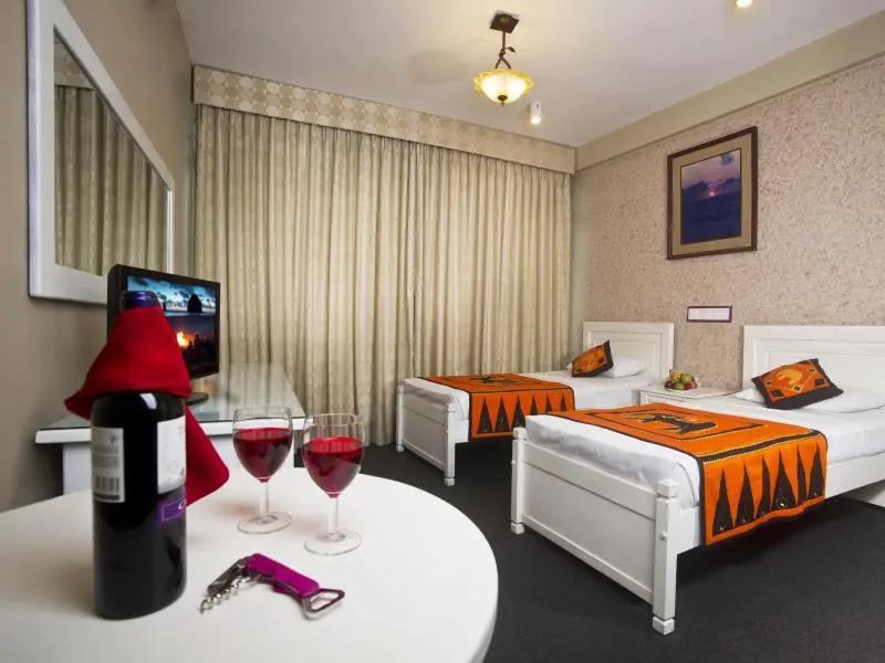 Standard Double room (twin beds)