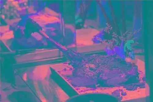 Jinke Grand Hotel - Chongqing - фото 28