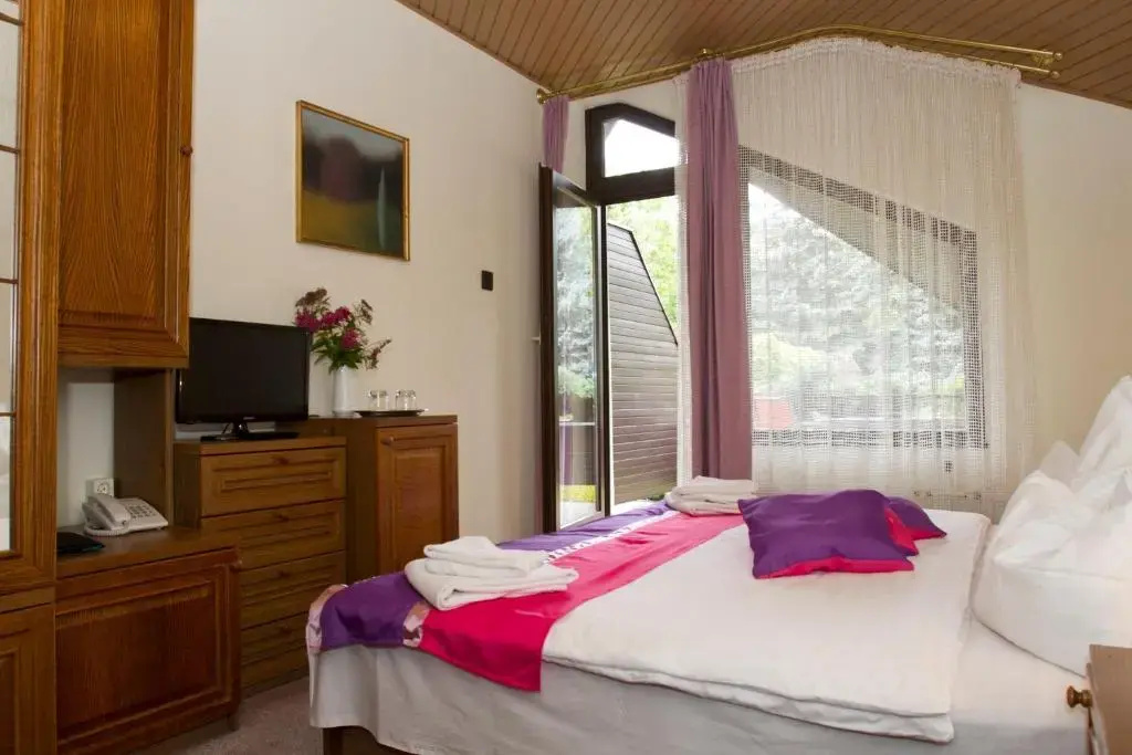 Hotel Molnár - Chambres