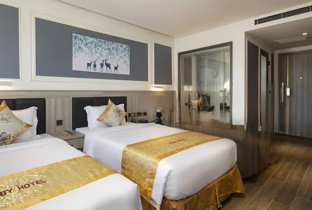 Deluxe Double room with city view (twin beds)