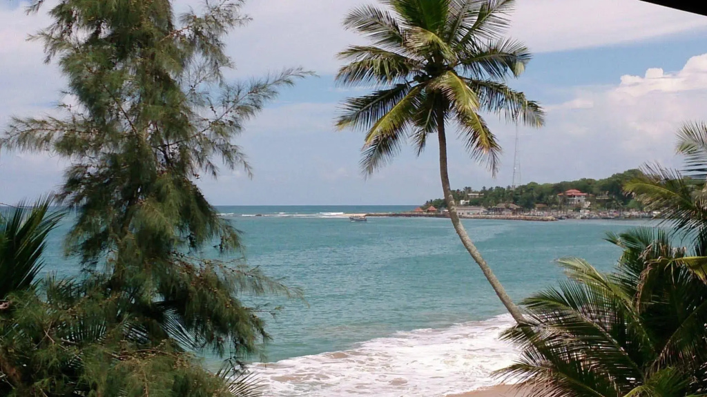 Gayana Hotel - Général