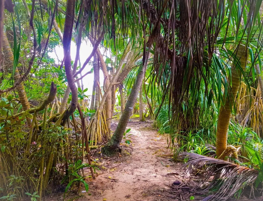 Lali's Hikkaduwa Homestay - Général
