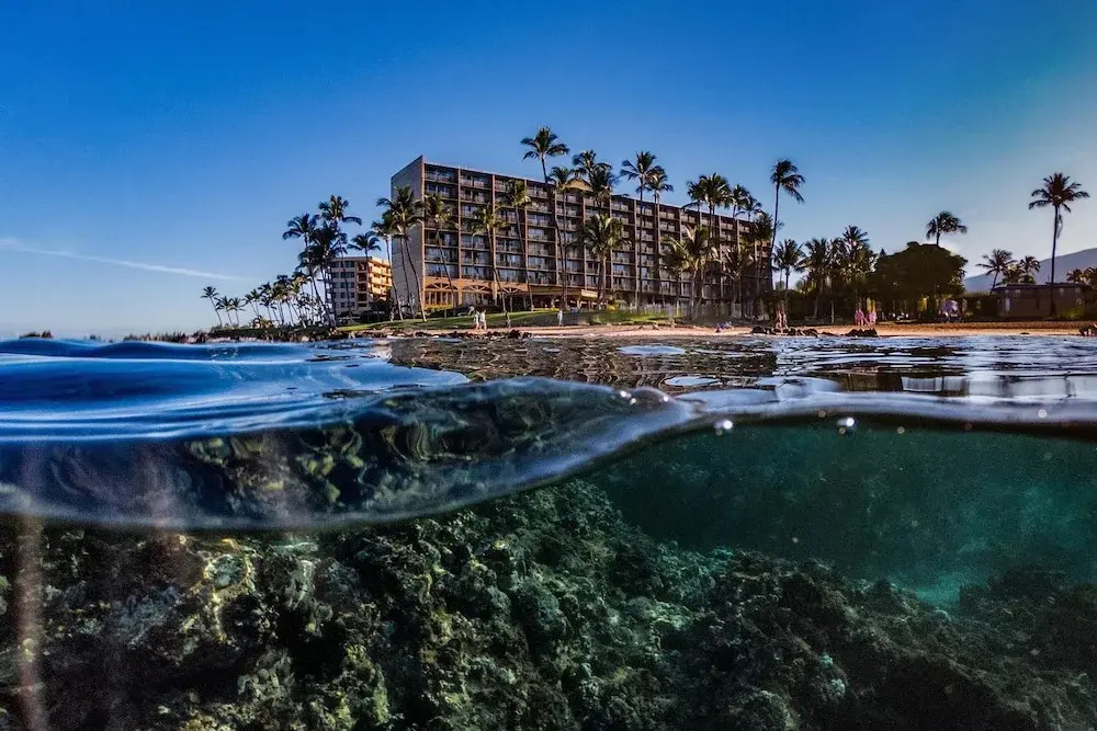 Hotel photo 47
