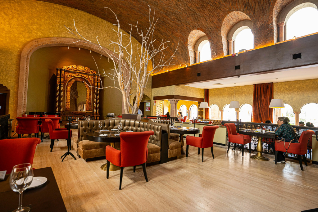Hilton San Luis Potosi - Général