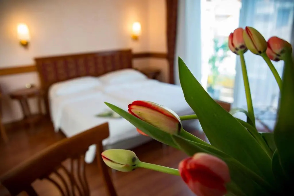 Hotel Villa Venezia - Chambres