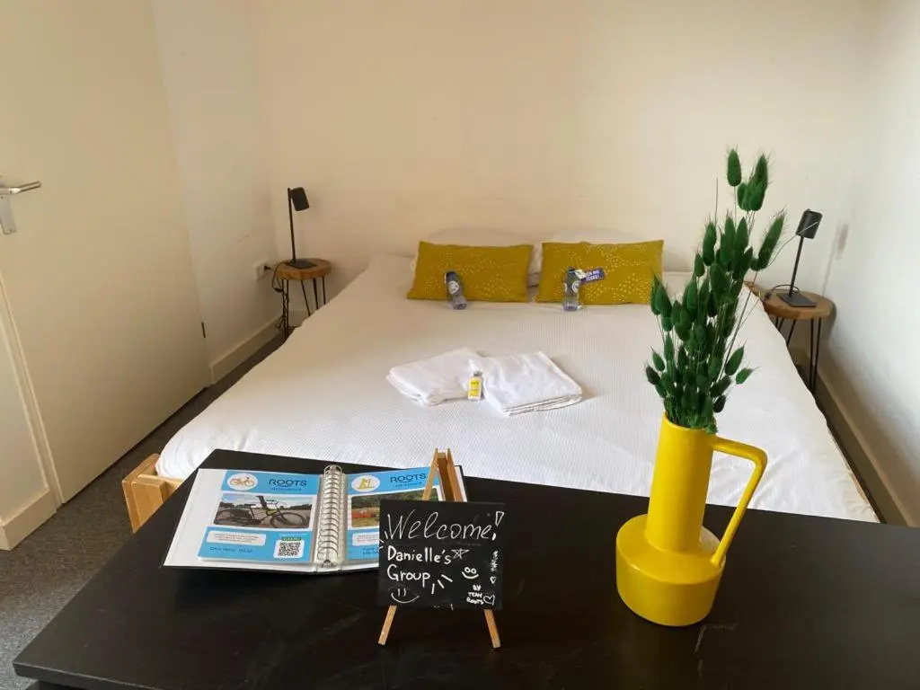 Deluxe Double room (full double bed)