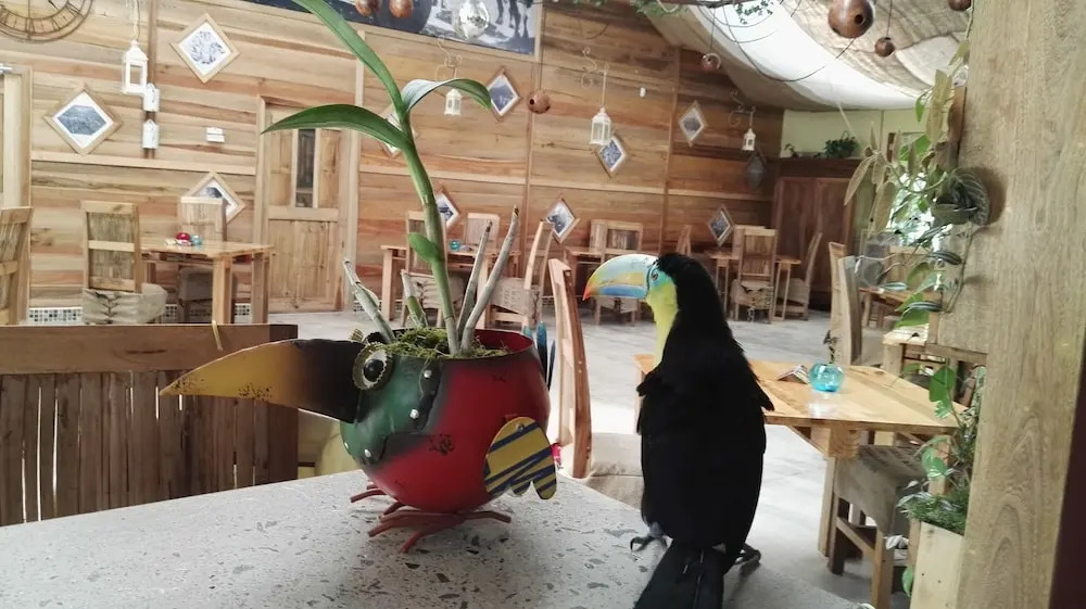 Hotel Finca L’Étoile Celeste - фото 13