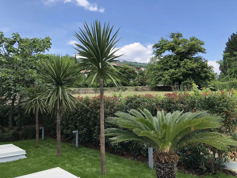 Designed Apartment with Swimming Pool - фото 19