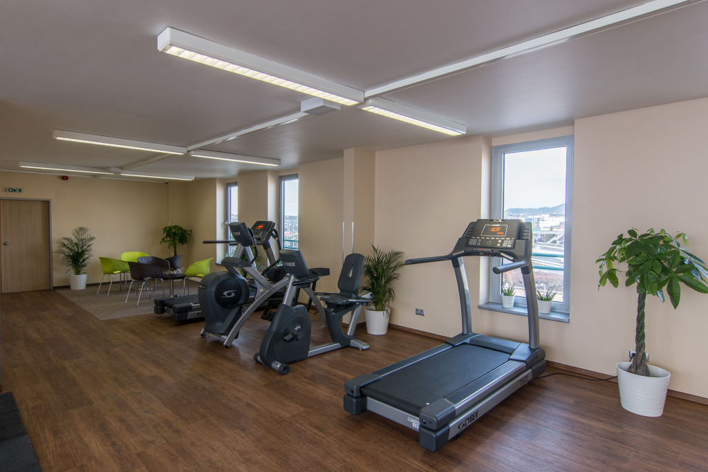 Holiday Inn Budapest-Budaörs by IHG - Général