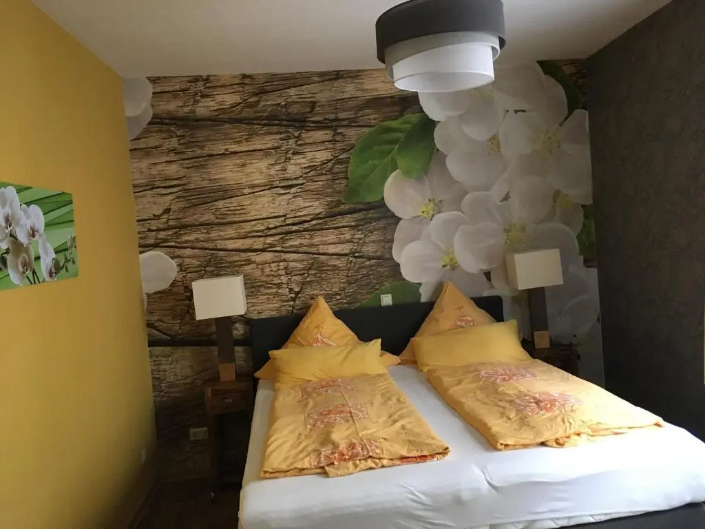 Standard Double room (full double bed)
