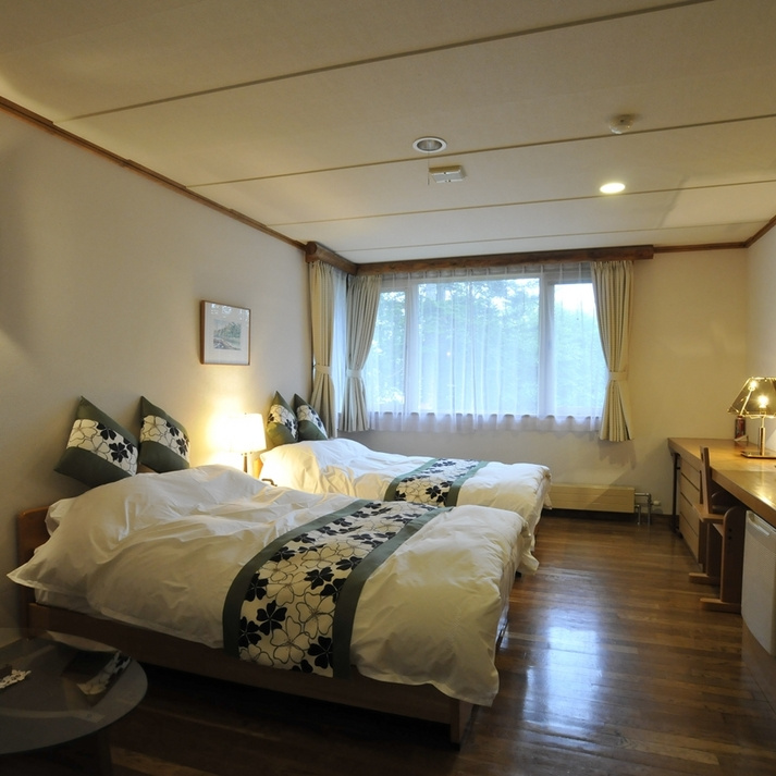 Standard Double room with lake view (twin beds)