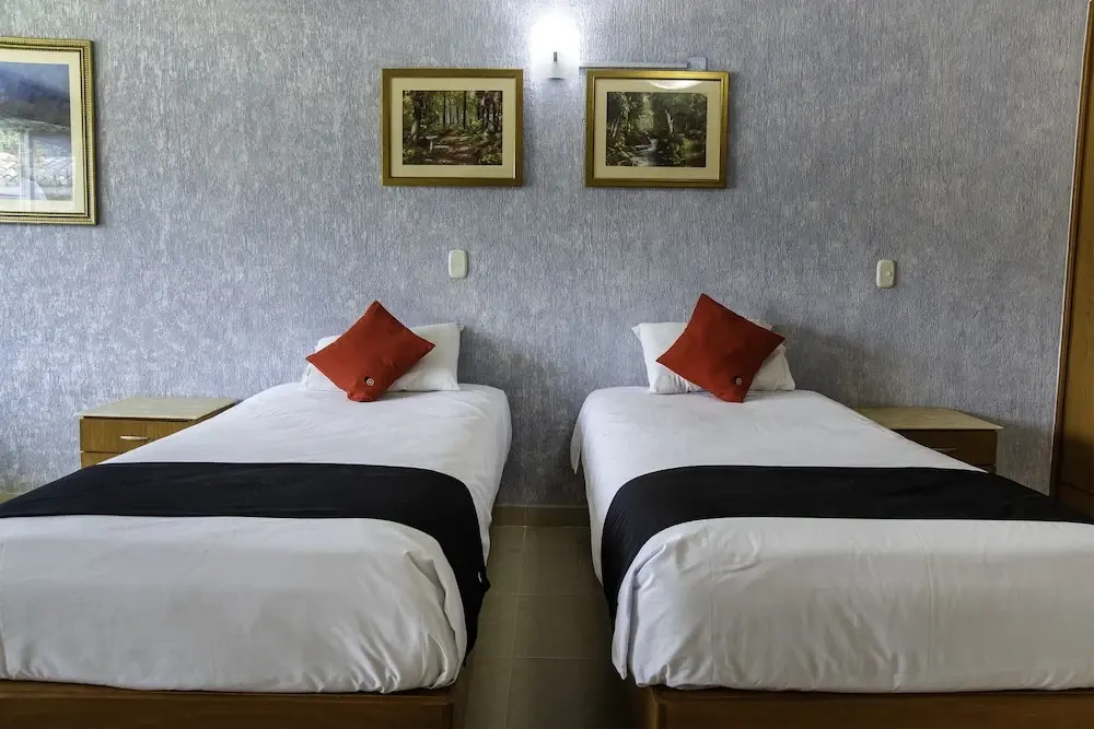 Standard Double room with balcony (twin beds)