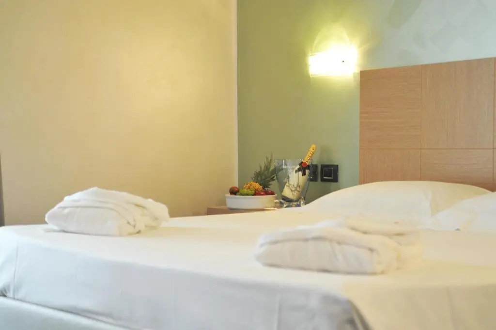 Palace Hotel Zingonia - Chambres