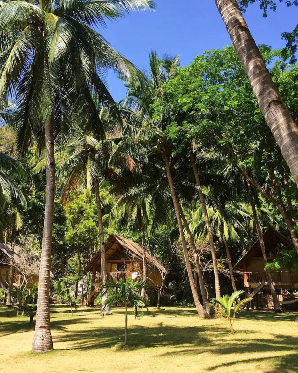 Sangat Island Dive Resort - Chambres