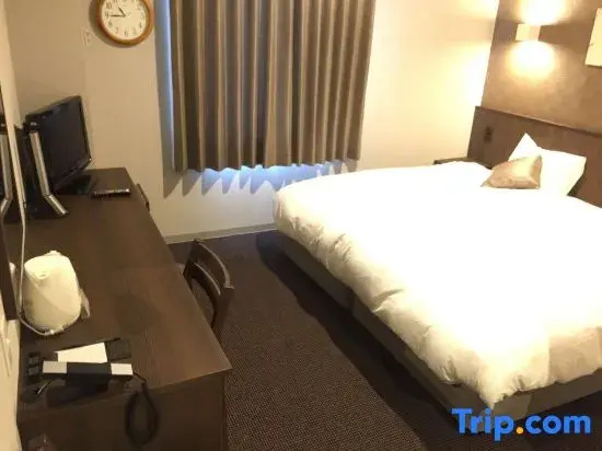 Standard Double room with ocean view (full double bed)