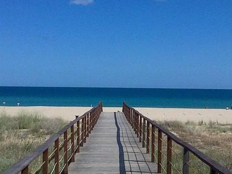 Beach & Waterfront
