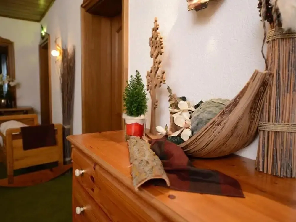 Land-gut-Hotel zum Löwen - Général