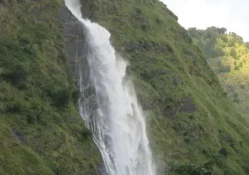 Janardan Resort Munsiyari