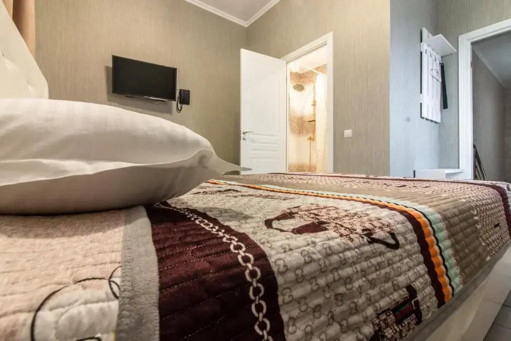 Standard Double room (full double bed)