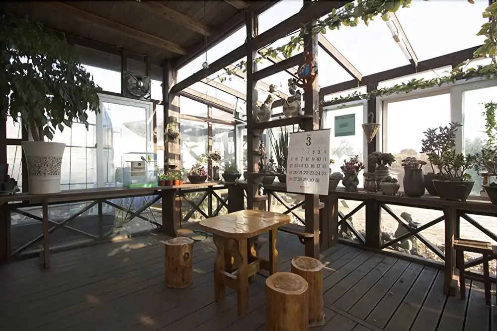 Jeju Tteul Anae Pension
